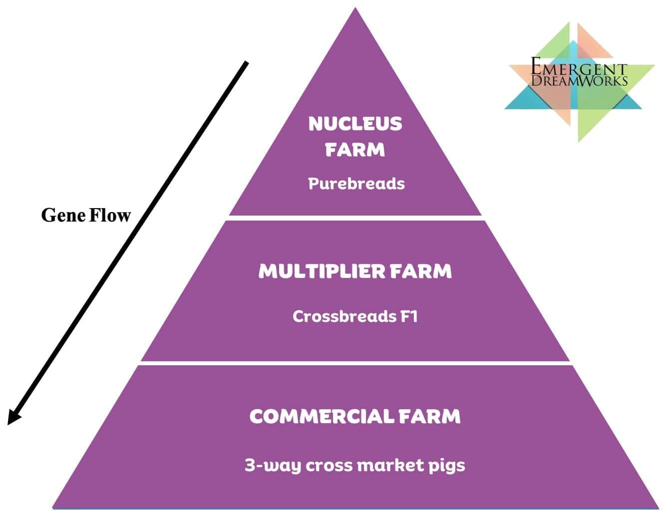 Emergent Farms